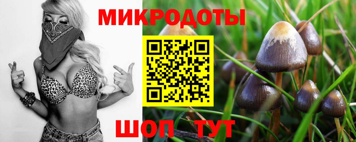 Кушва  Галлюциногенные грибы мицелий  Вход с VPN 